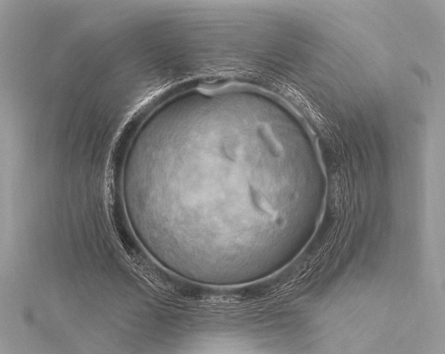 X0000116300680200911301442