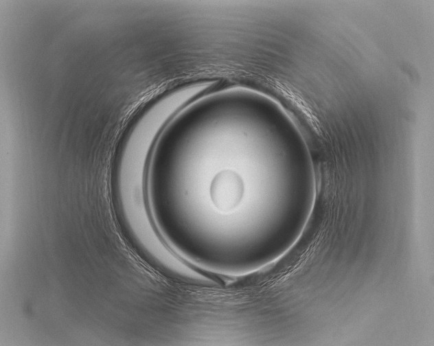 X0000116300681200911301442