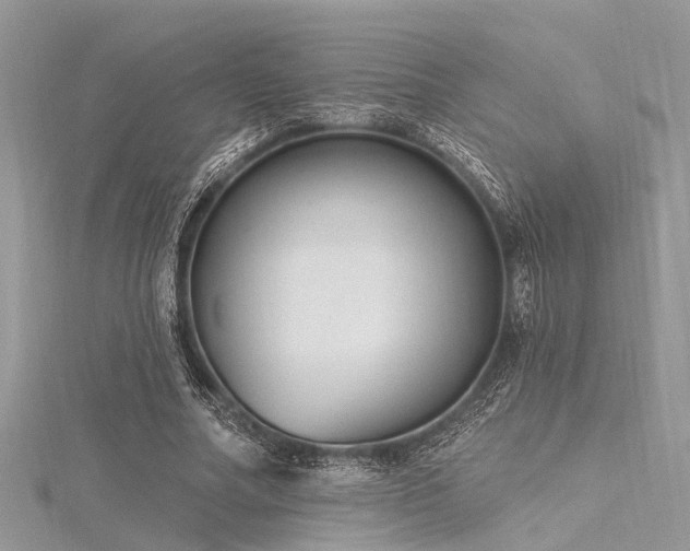 X0000116300682200911301442