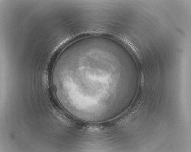 X0000116300684200911301442