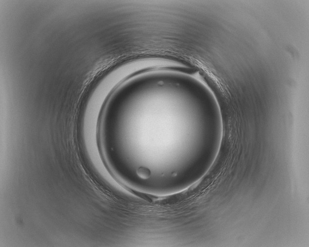 X0000116300685200911301442