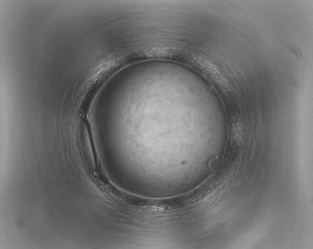 X0000116300687200911301442