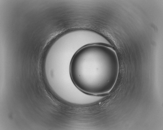 X0000116300688200911301442