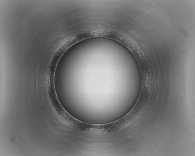 X0000116300690200911301442