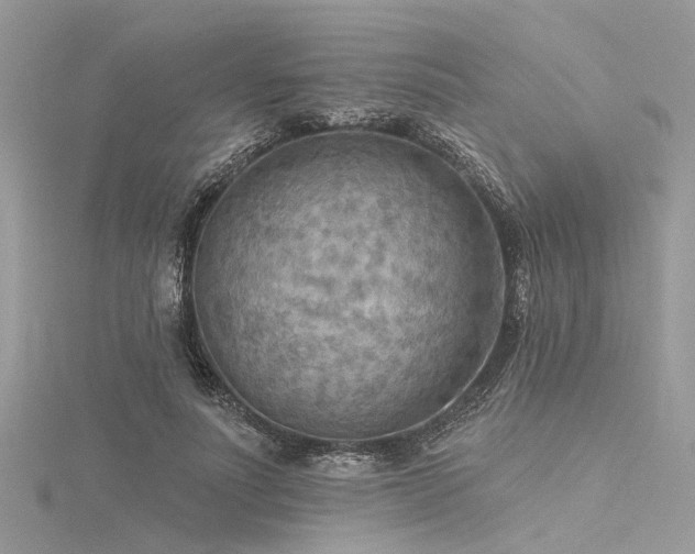 X0000116300691200911301442