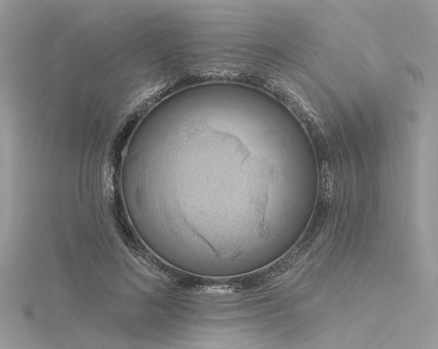 X0000116300692200911301442