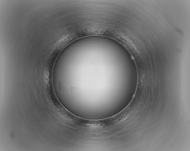 X0000116300693200911301442