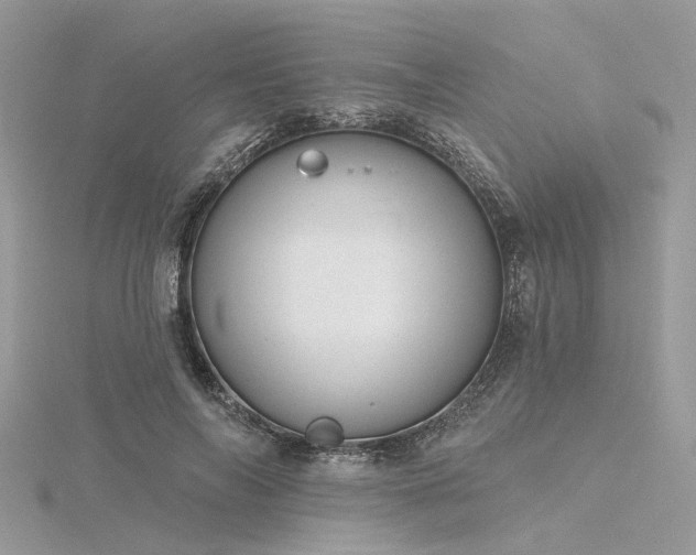 X0000116300694200911301442