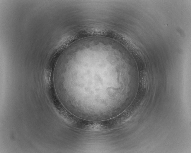 X0000116300695200911301442