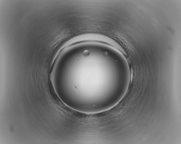 X0000116300696200911301442