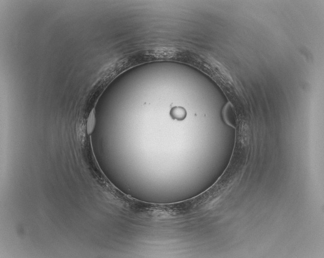 X0000116300697200911301442