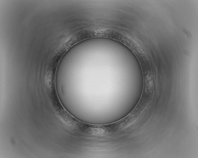 X0000116300698200911301442