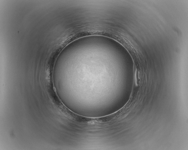 X0000116300700200911301442