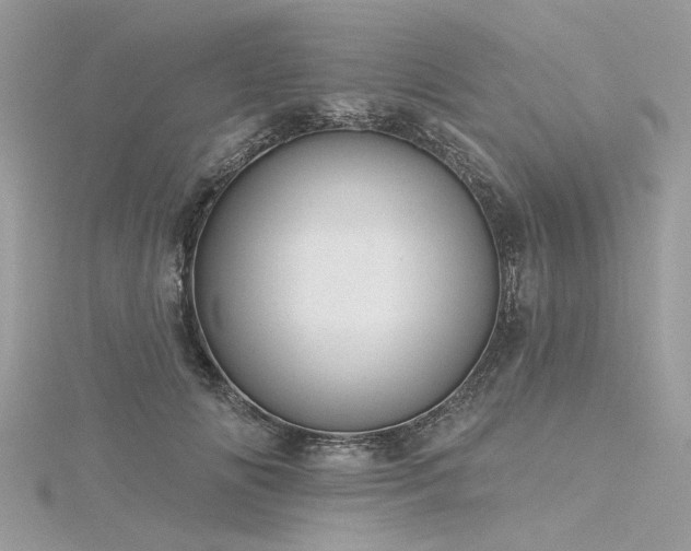 X0000116300702200911301442