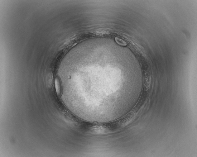 X0000116300704200911301442