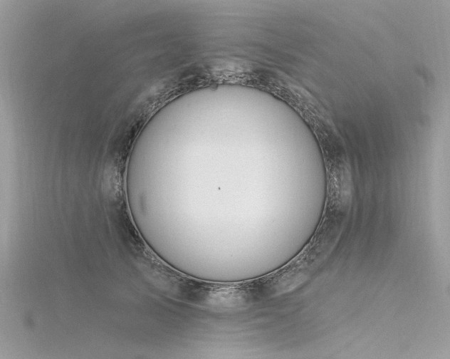 X0000116300705200911301442