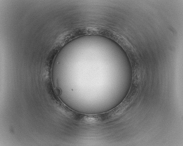 X0000116300706200911301442