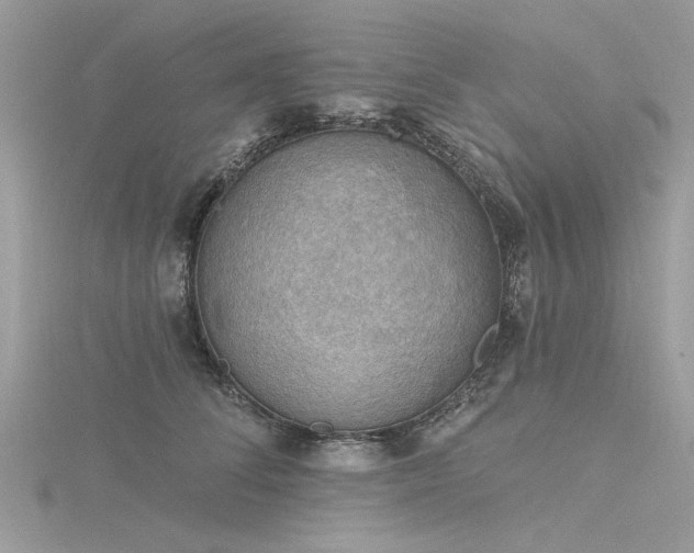 X0000116300708200911301442