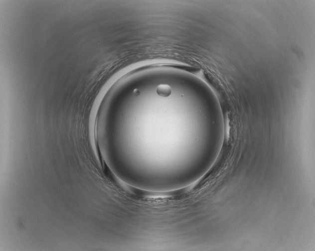 X0000116300709200911301442