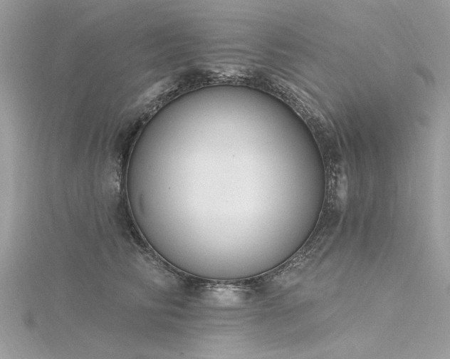 X0000116300710200911301442