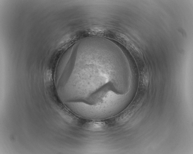 X0000116300711200911301442