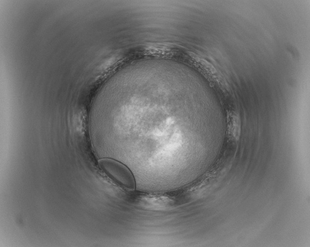 X0000116300712200911301442