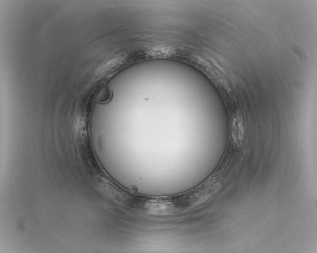 X0000116300714200911301442