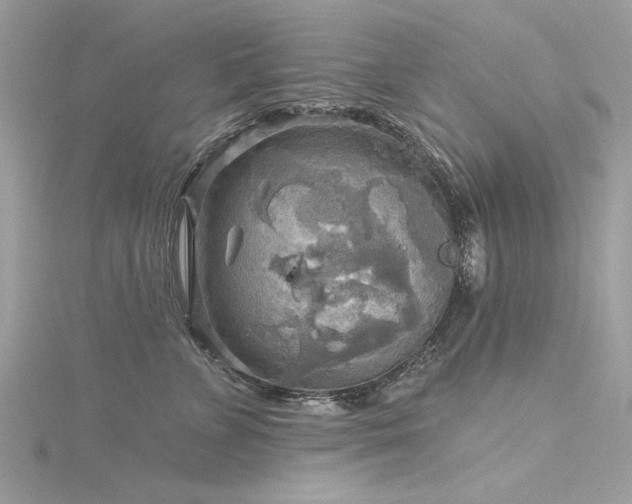 X0000116300715200911301442