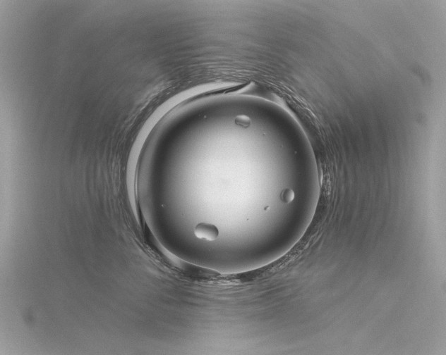 X0000116300716200911301442