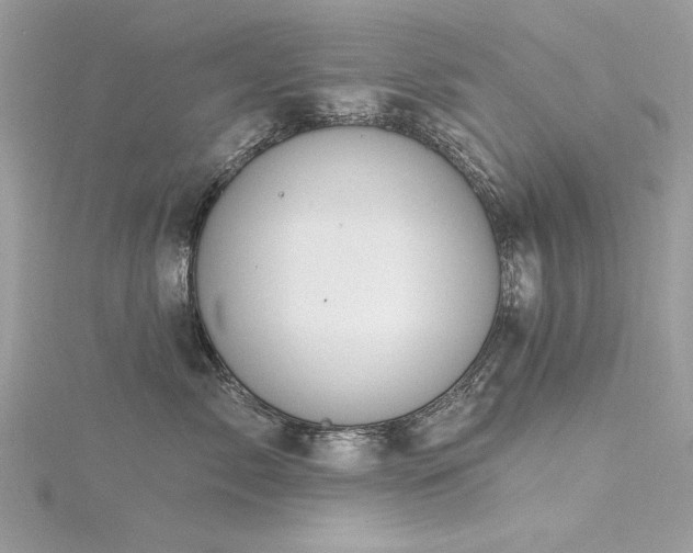 X0000116300717200911301442