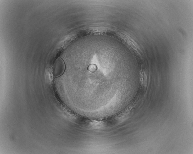 X0000116300718200911301442