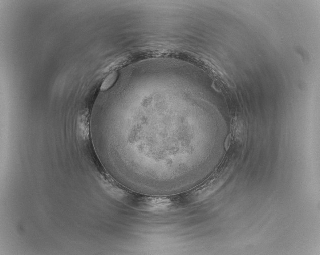 X0000116300719200911301442