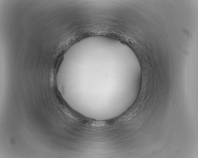 X0000116300720200911301442