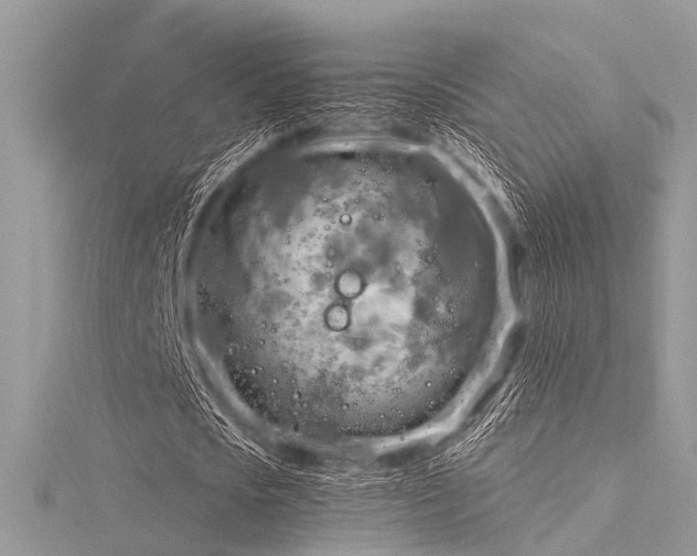 X0000116300721200911301441