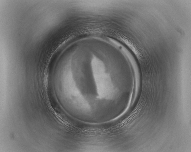 X0000116300722200911301441