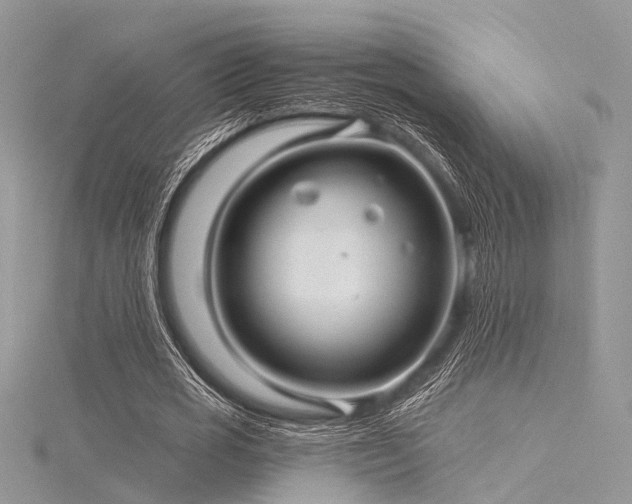 X0000116300725200911301441