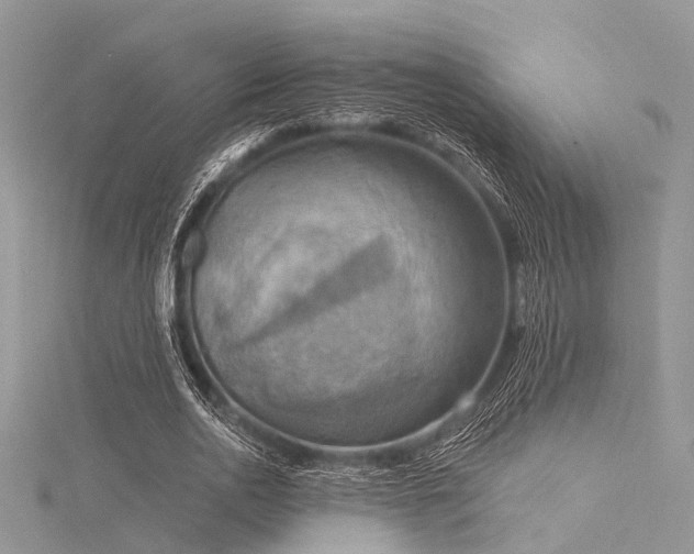 X0000116300726200911301441