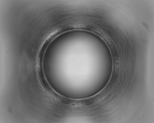 X0000116300727200911301441