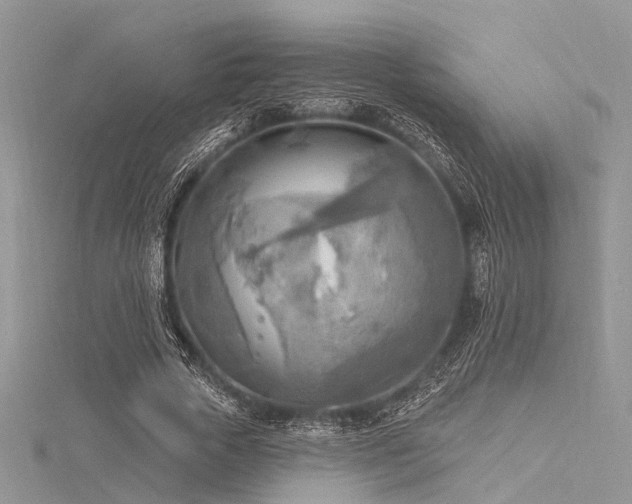 X0000116300729200911301441