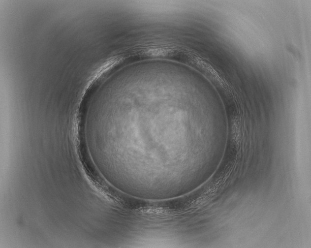 X0000116300730200911301441