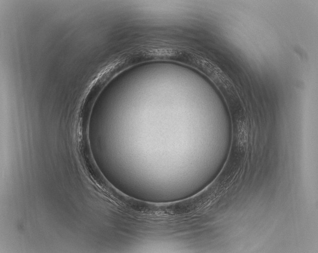 X0000116300731200911301441