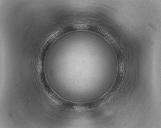 X0000116300733200911301441