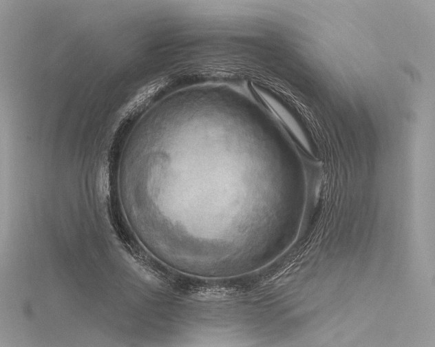 X0000116300734200911301441