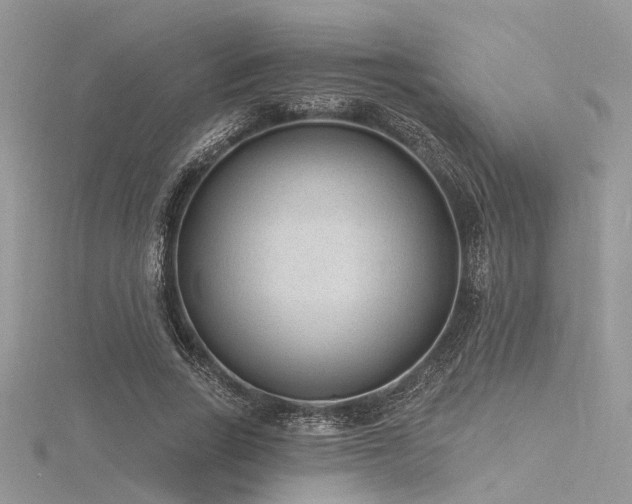 X0000116300735200911301441