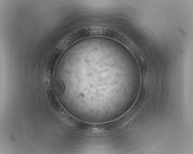 X0000116300737200911301441