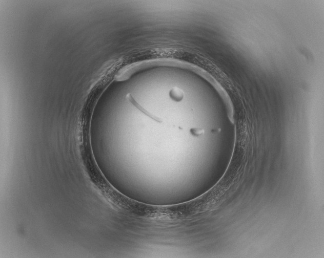 X0000116300738200911301441