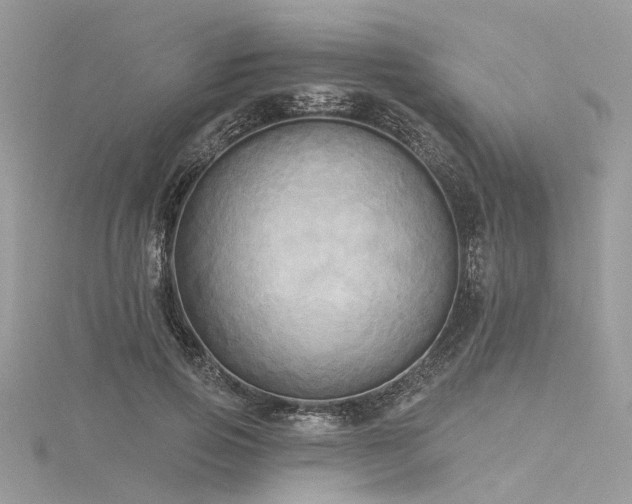 X0000116300741200911301441