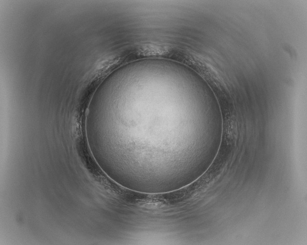 X0000116300743200911301441