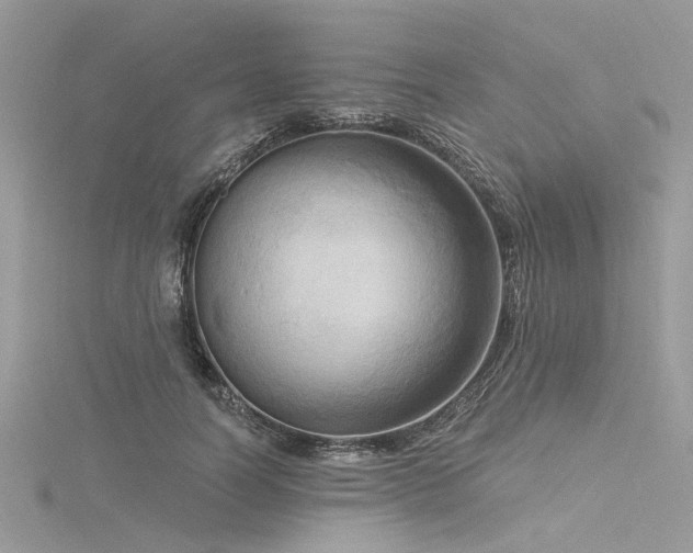 X0000116300746200911301441