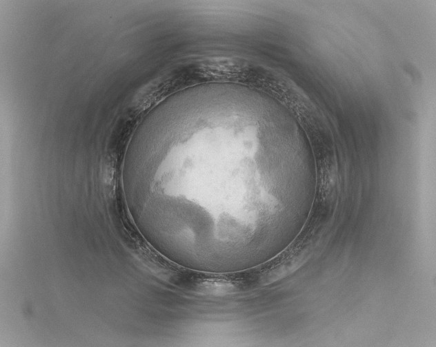 X0000116300749200911301441